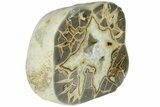 Polished, Crystal Filled Septarian Nodule - Utah #184579-2